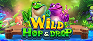 Wild Hop & Drop