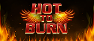 Hot to Burn